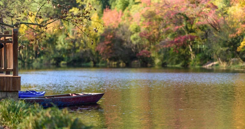 Мужчина утопил супругу ради бизнеса в Павлодаре