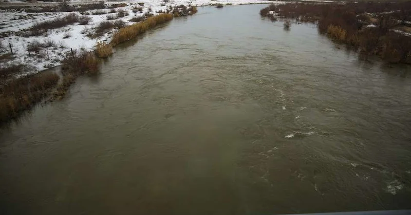 Освободили от сетей