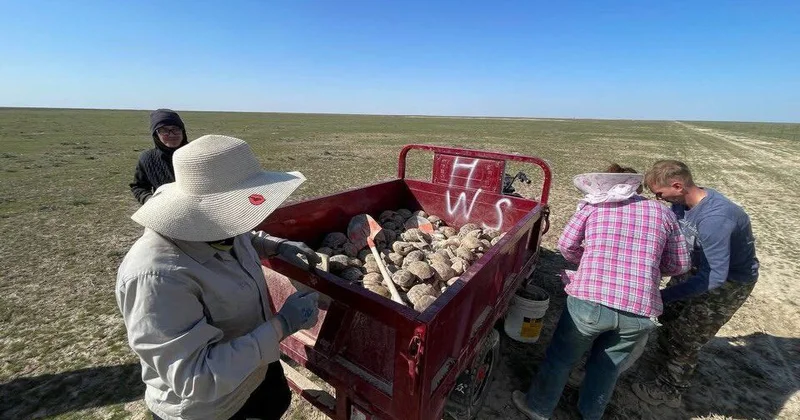 Медленно, но верно