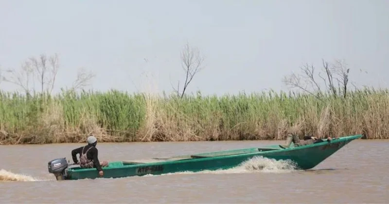 ​Каспийде Бекіре операциясы басталды: браконьерлерді әуеден де, суда да ұстайды