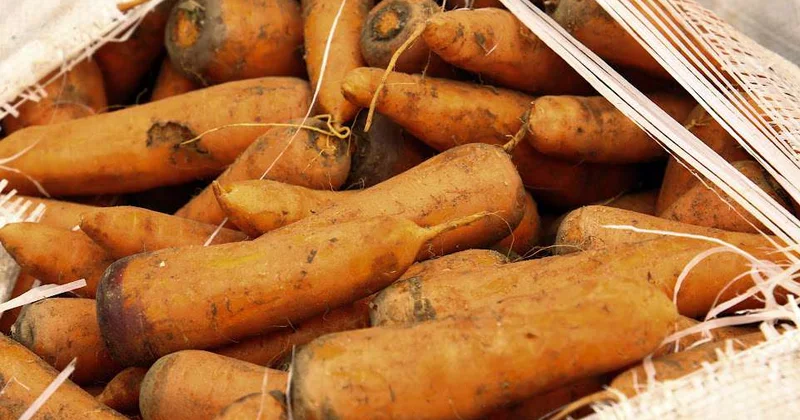 Климатическая повестка и реальные планы