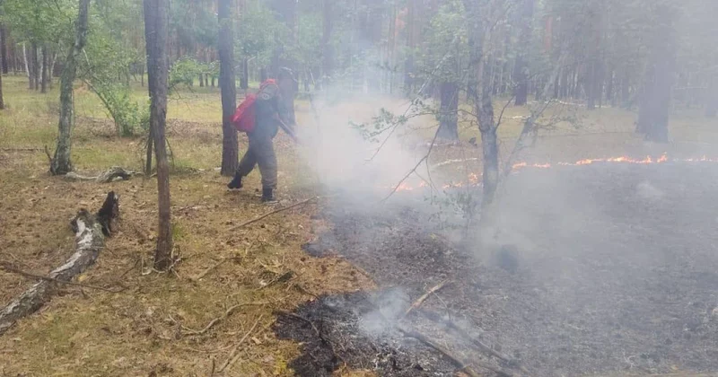 Два лесных пожара произошли за день в Казахстане