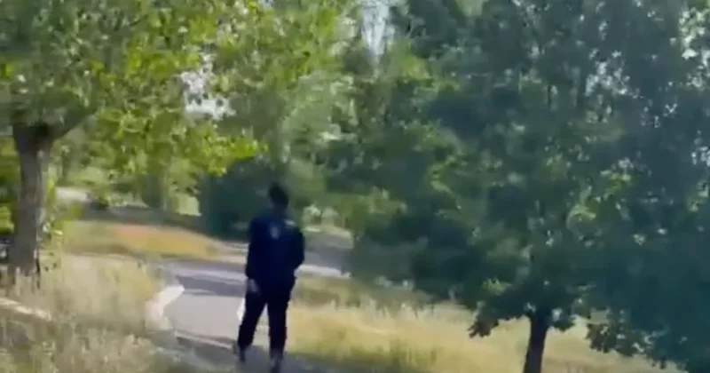 За мат в TikTok дают больше : семья жертвы нападения в Президентском парке Астаны возмущена приговором