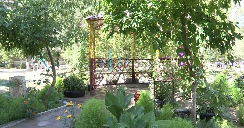 Жить в чистоте и порядке