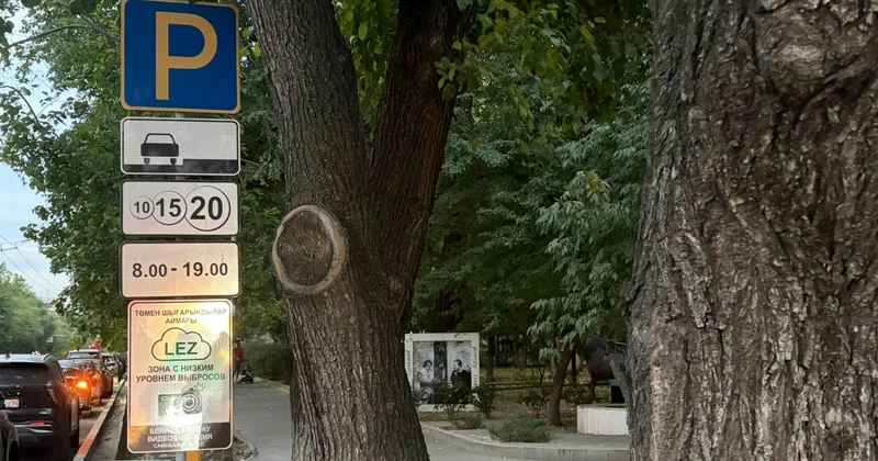 Алматыда автокөліктің жаңа экологиялық тексерісінен қайда өтуге болады және бұл қанша тұрады