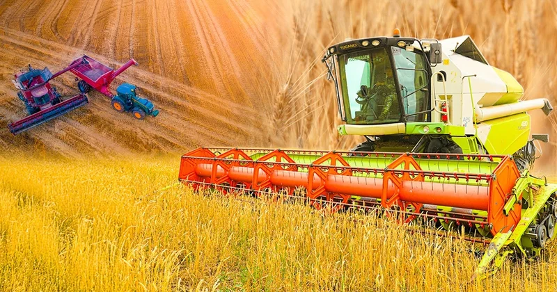 Елімізде егін жинау науқаны қалай жүріп жатыр