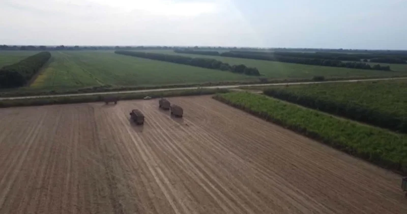 Боливия жиын терімге кіріспеді