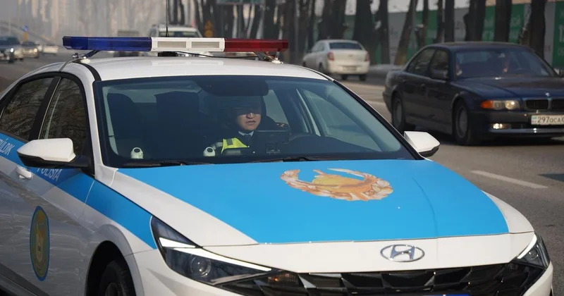 Охоту на ночных бабочек устроили полицейские в Алматы (видео)