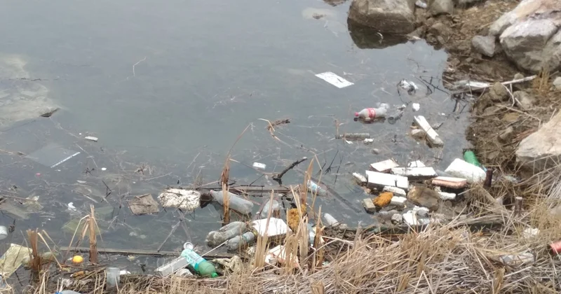 Қылшақты өзеніндегі ластанудың ықтимал себептері аталды