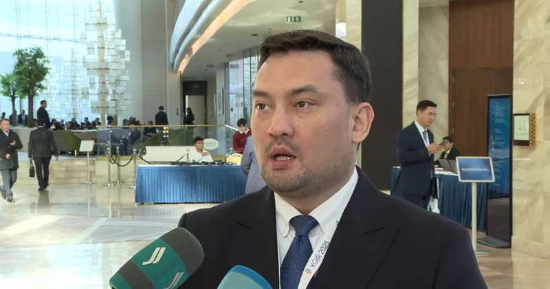 Шетелдік инвесторлар Қазақстанға жеңілдік іздеп келмейді сарапшы пікірі