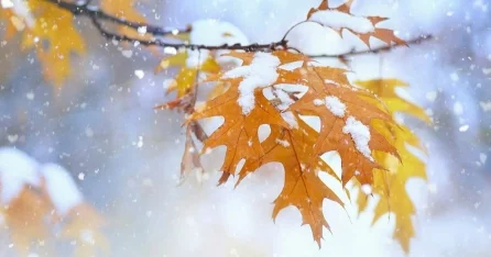 Мокрый снег накроет Казахстан в выходные дни