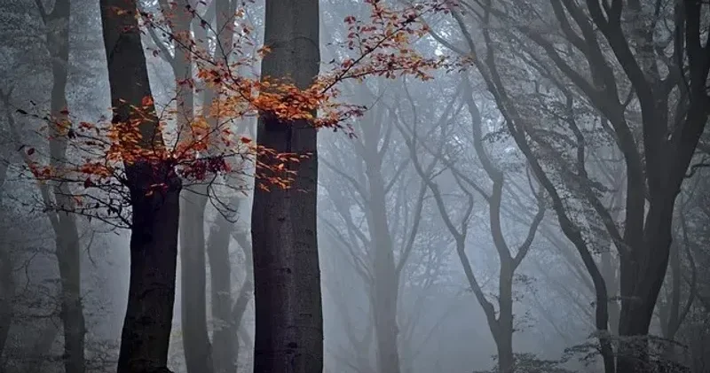 1 қарашада еліміздің бірнеше өңірінде тұман, екпінді жел және өрт қаупі күтіледі