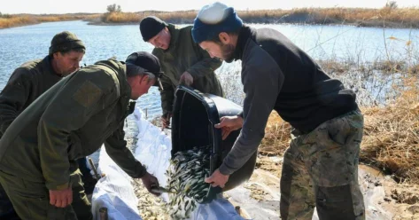 Масштабное зарыбление реки Или провели в Алматинской области