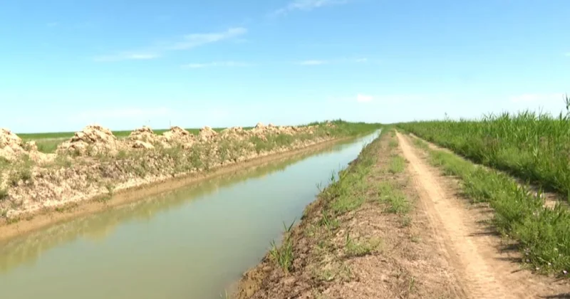 Қызылорда облысында шаруалар суды рұқсатсыз пайдаланған