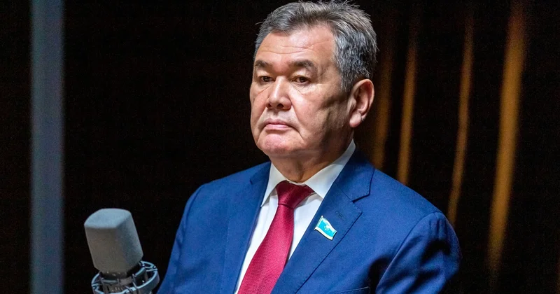 Шикізатты шикізат күйінде сатып жіберу жеңіл болып тұр Мәжіліс депутаты