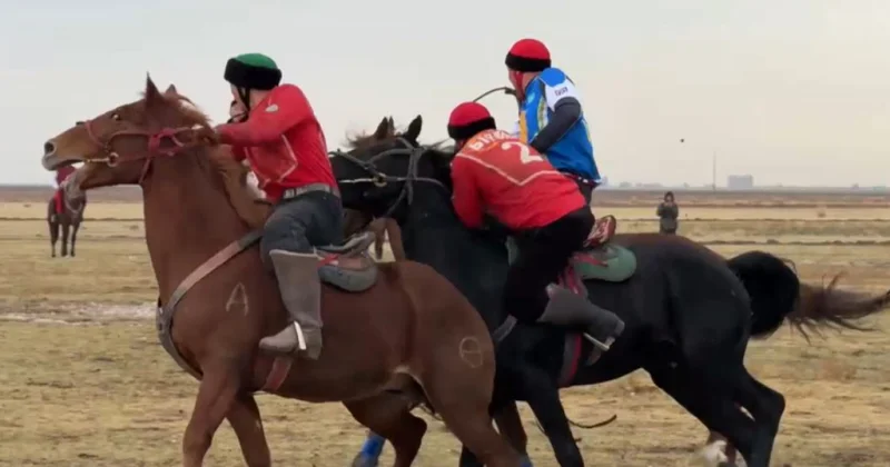 Командалық көкпардан жарыс көбейеді