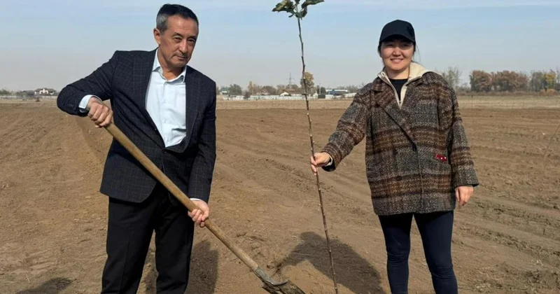 В Алматинской области возрождают знаменитый апорт