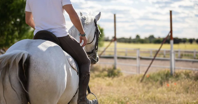 Привязали к седлу и волокли по степи : завершено расследование дела об убийстве в Жетісу