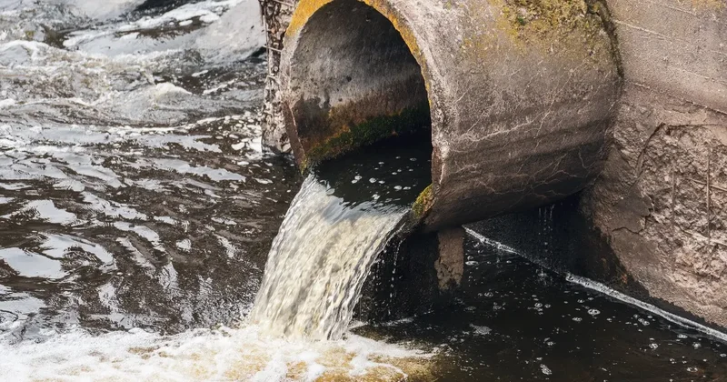Загрязнение реки в Караганде: людям запретили сливать сточные воды в ливнёвку, при этом канализации в районе нет