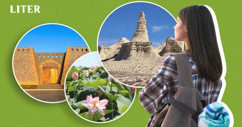 Розовые лотосы и белые скалы: куда поехать в Атырауской области