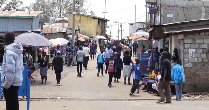 Әлемде жылына 7 мың бүйрек сатылады