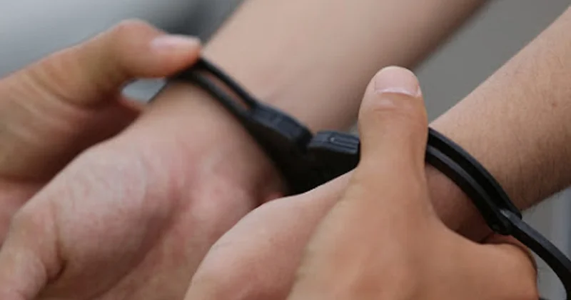 Экс сотрудника Правительства для граждан экстрадировали из России