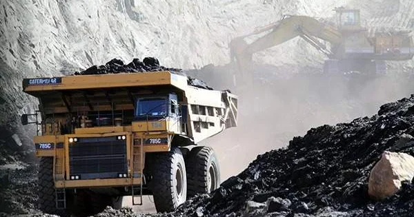 Жамбыл облысындағы орман қорының жері көмір өндіруге беріледі