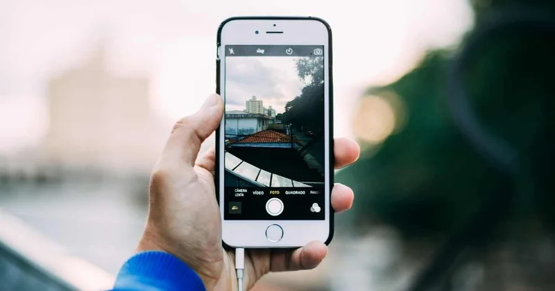 МВД обратилось к блогерам с призывом соблюдать закон при создании контента