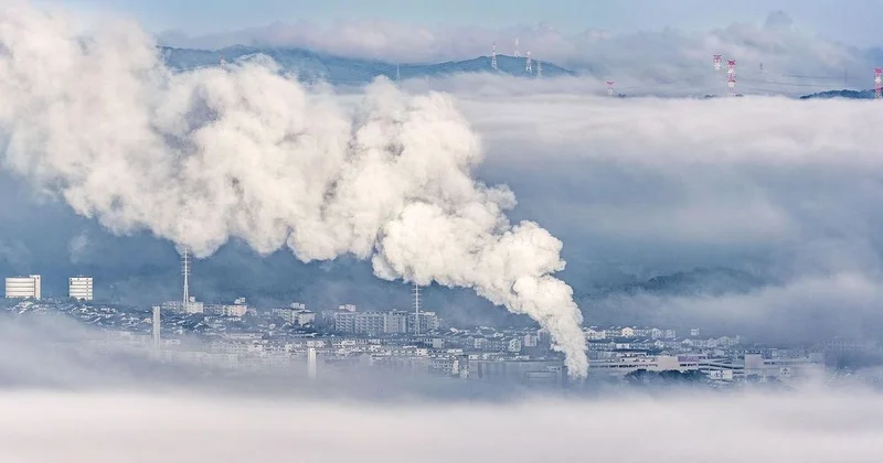 Шаг к углеродной нейтральности: в Казахстане открыли первый карбоновый полигон для защиты климата и развития зеленого земледелия