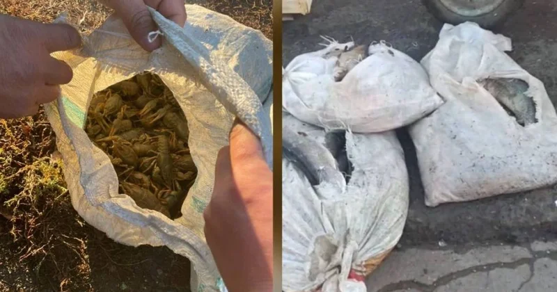 Раков и рыбу забрали у жителей ЗКО