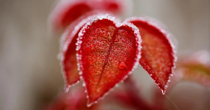 Какой будет погода в ноябре в Казахстане, рассказали синоптики