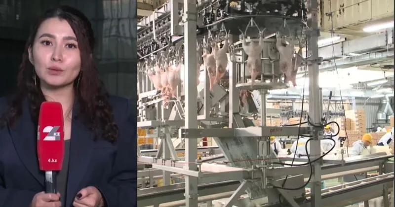 Елде құс еті өндірісі артты