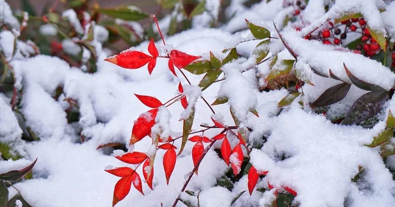 Циклон принесет в Казахстан дожди, снег и похолодание