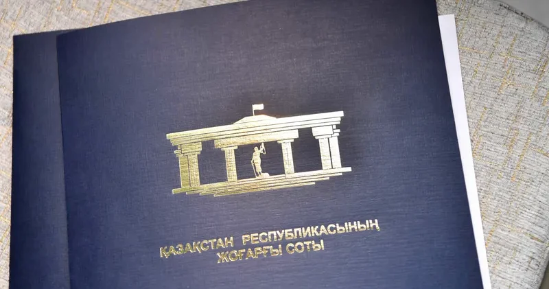 Отбасына қолғабыс етпек болған: 10 баланың анасы 17 жастағы қызы жұмыс істегені үшін айыппұл арқалады