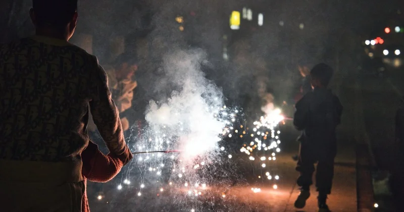 Праздник без взрывов: Нидерланды запрещают петарды и фейерверки