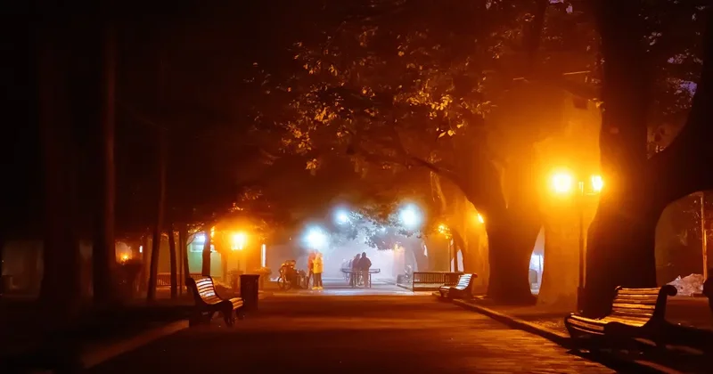 Полицейские призвали жителей Алматы не шуметь во дворах