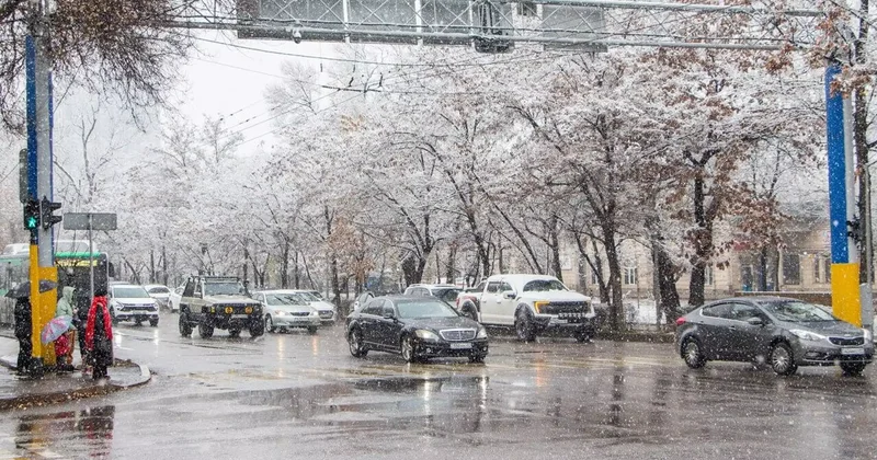 Алматы полициясы күшейтілген режимде жұмыс істеп жатыр