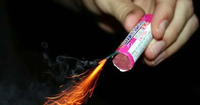 В Германии 2,7 млн человек подписали петицию о запрете петард