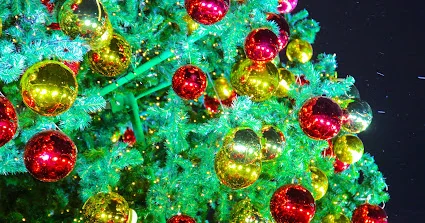 Лидеры разных стран поздравляют Президента с Новым годом