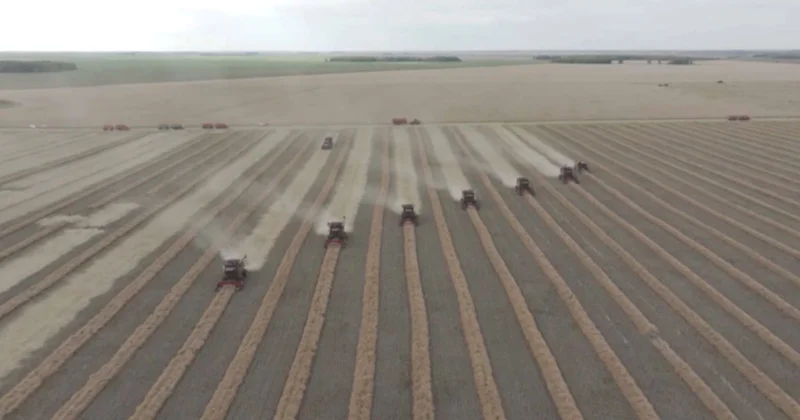 АӨК: рекордтық өнім мен экспорт