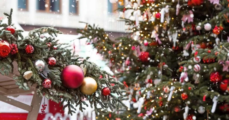 Новый год придет в Шымкент с дождем и снегом