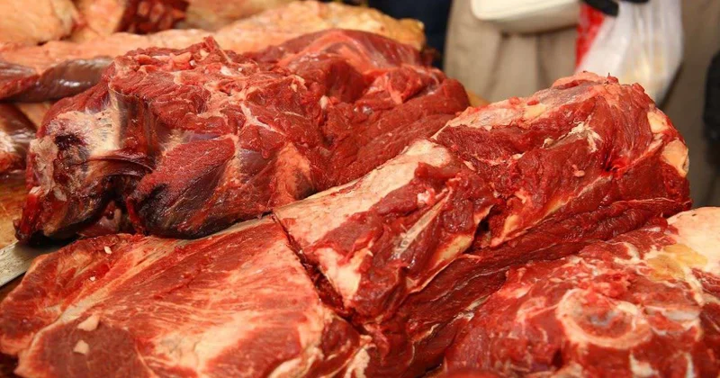Новые квоты на экспорт мяса КРС вводят в Казахстане